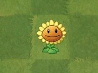 88yh银河官网角色介绍 88yh银河官网角色介绍