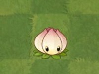 88yh银河官网角色介绍 88yh银河官网角色介绍